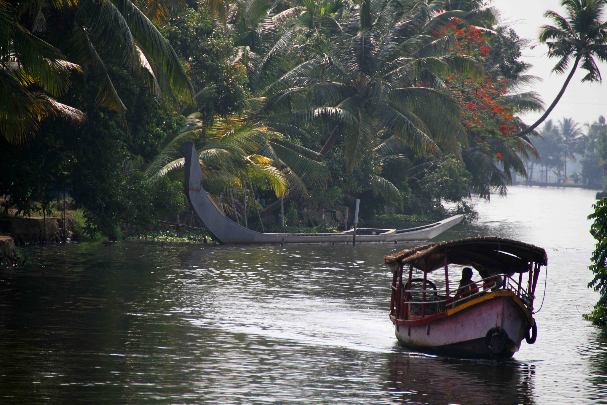 Tranquil Backwaters of Cochin, India