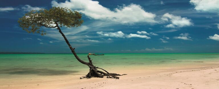 A serene view of Radhanagar Beach in the Andaman Islands, featuring a lone tree on the sandy shore, crystal-clear turquoise waters, and a vibrant blue sky with scattered clouds.